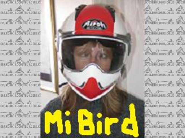 Mi Bird Avatar